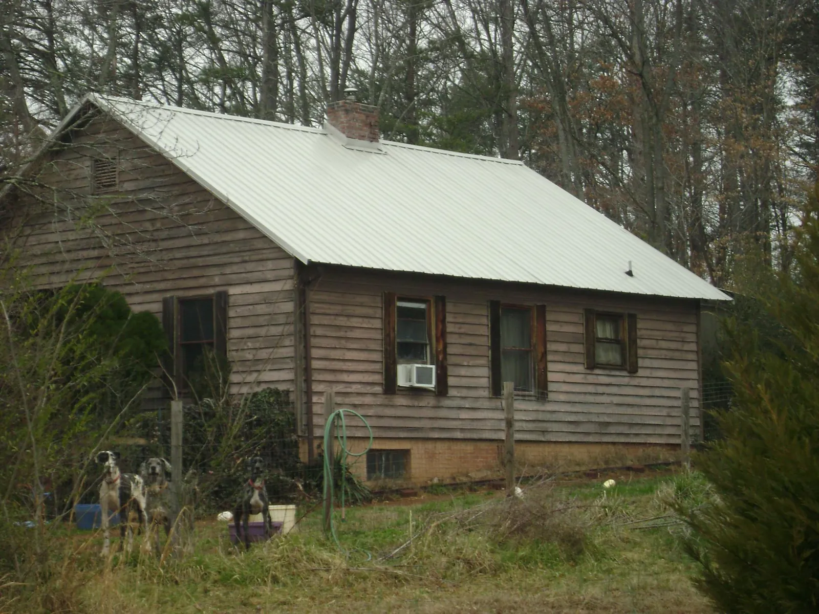 White metal roof on an old wood sided farmhouse, from a Metal Roof Installation job in Hanley Falls
